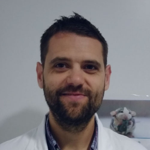 Dr. Bruno Ramos-Molina